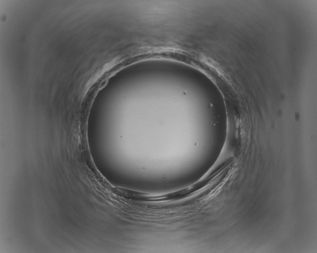 X0000070211165200605301355