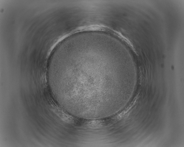 X0000070211166200605301355