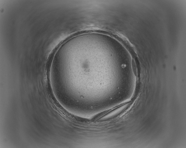 X0000070211167200605301355