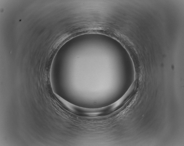 X0000070211169200605301355