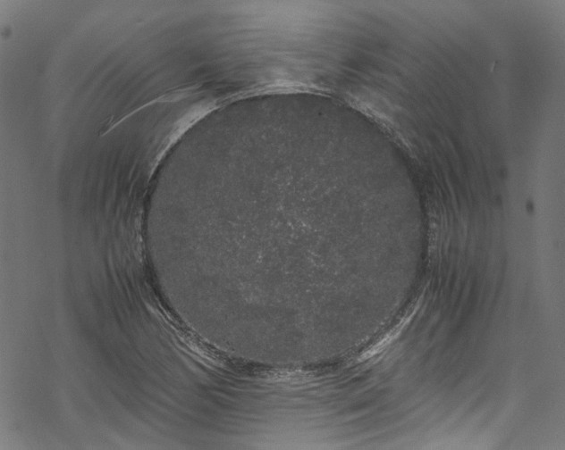 X0000070211170200605301355