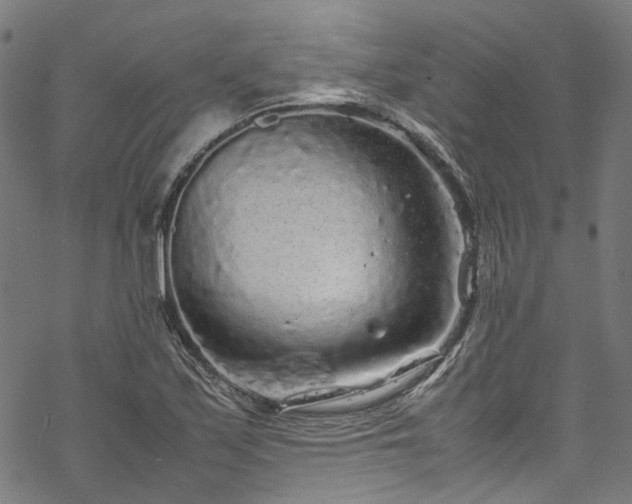 X0000070211171200605301355