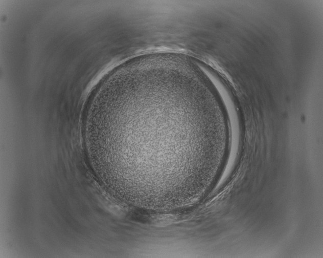 X0000070211173200605301355