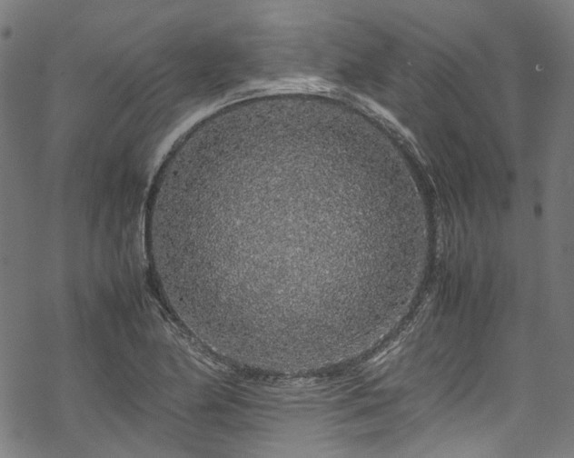 X0000070211174200605301355