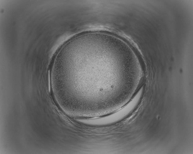 X0000070211175200605301355