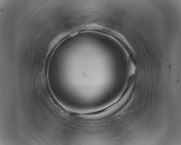 X0000070211176200605301355