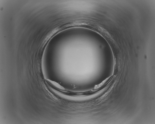 X0000070211177200605301355