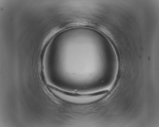 X0000070211179200605301355