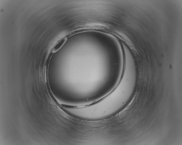 X0000070211180200605301355