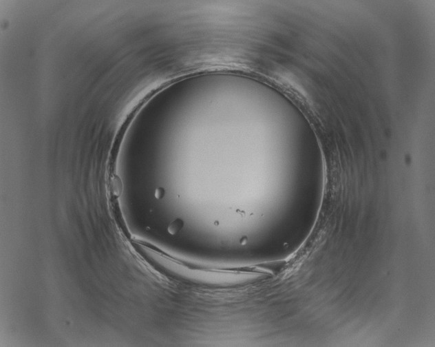 X0000070211182200605301355