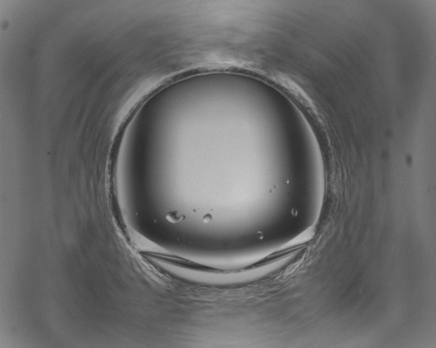 X0000070211183200605301355