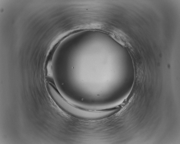 X0000070211184200605301355