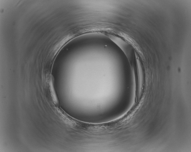 X0000070211185200605301355