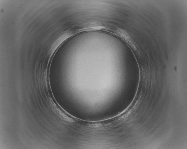 X0000070211186200605301355