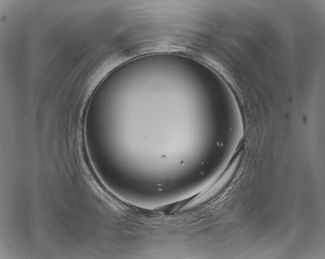 X0000070211187200605301355