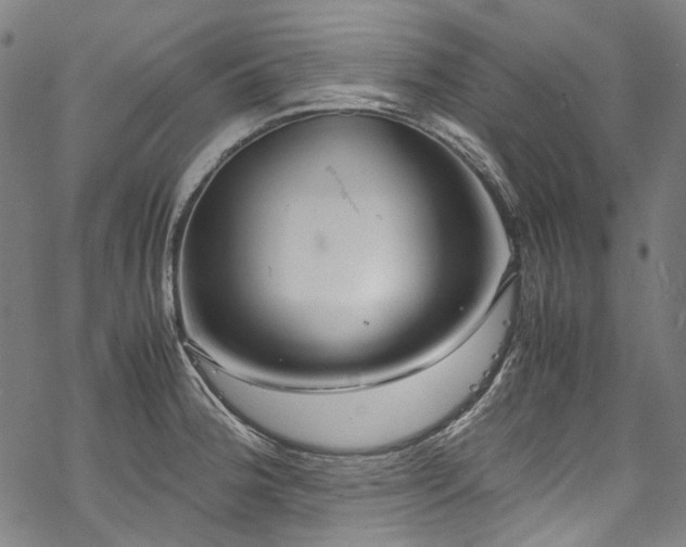 X0000070211188200605301355