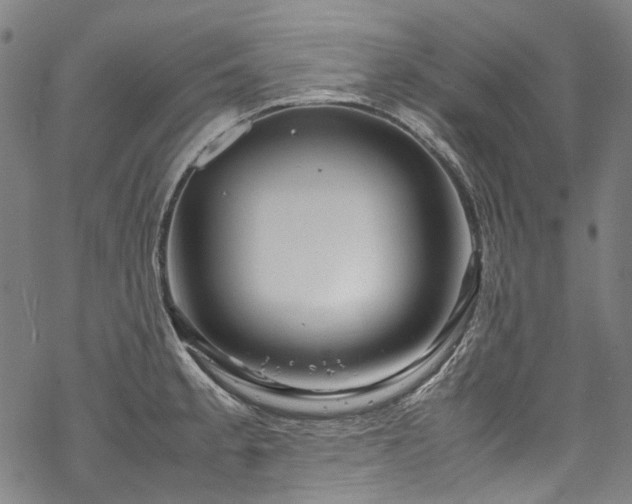 X0000070211189200605301355