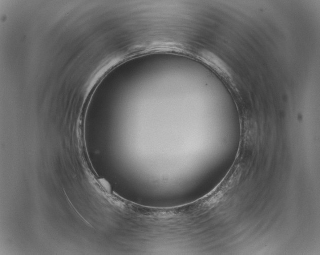 X0000070211190200605301355