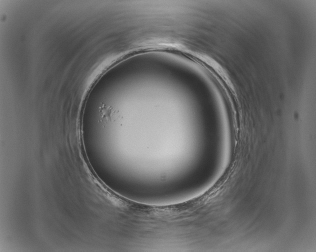 X0000070211191200605301355