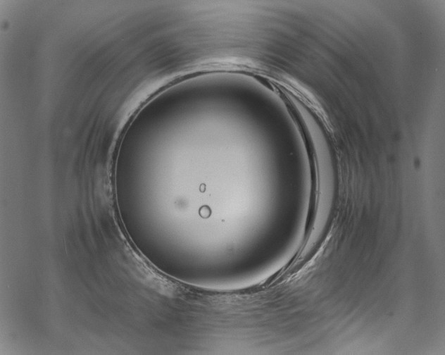 X0000070211192200605301355