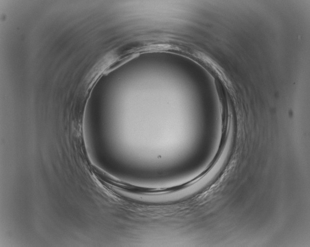 X0000070211193200605301355