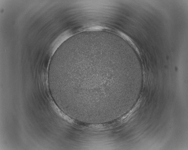 X0000070211194200605301355