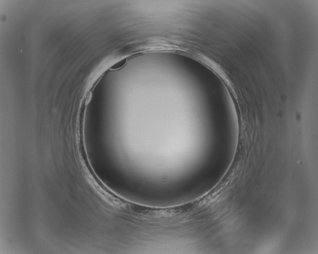 X0000070211195200605301355