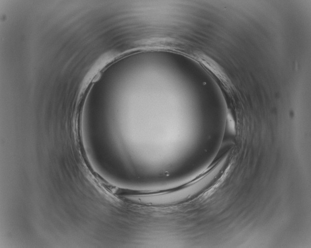 X0000070211196200605301355