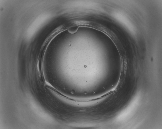 X0000070211198200605301354