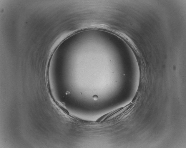 X0000070211199200605301354