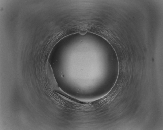 X0000070211201200605301354