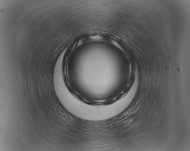 X0000070211202200605301354