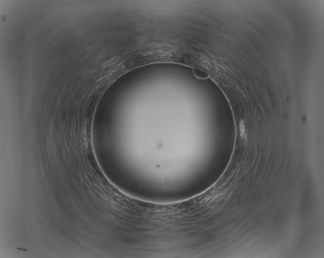 X0000070211203200605301354