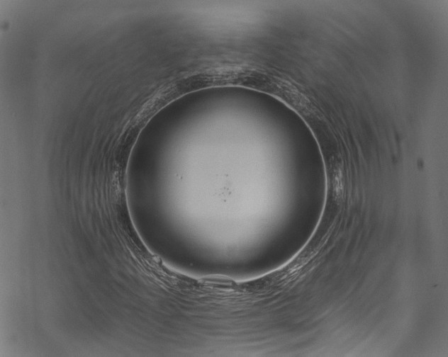 X0000070211204200605301354