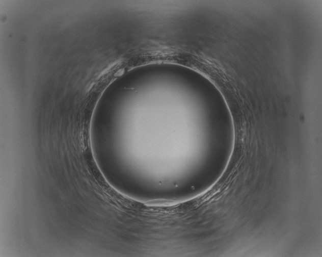 X0000070211205200605301354