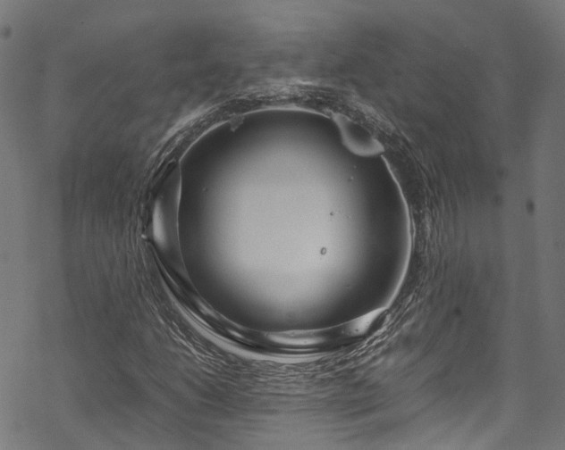 X0000070211206200605301354