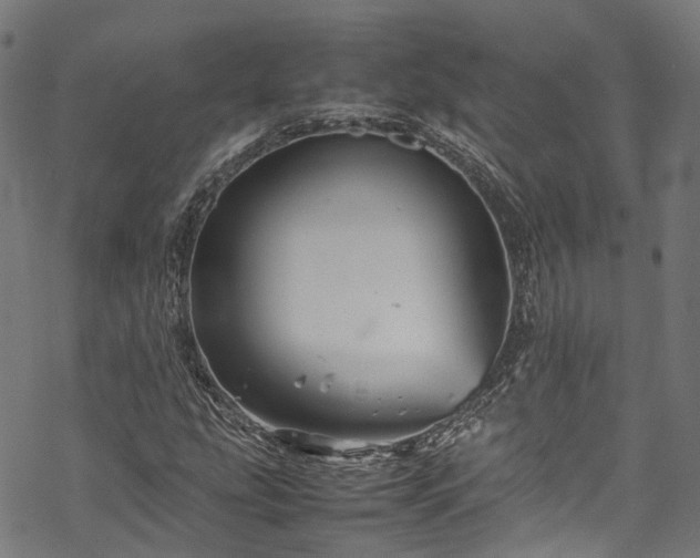 X0000070211207200605301354