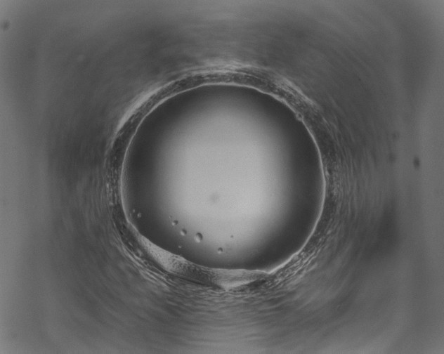 X0000070211208200605301354