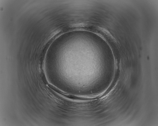 X0000070211209200605301354