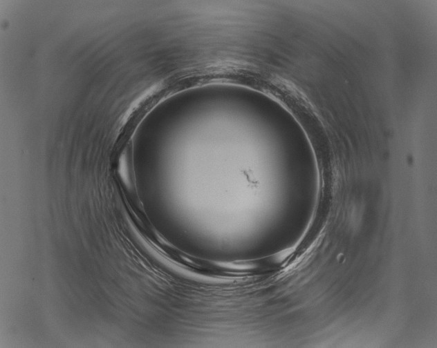 X0000070211210200605301354