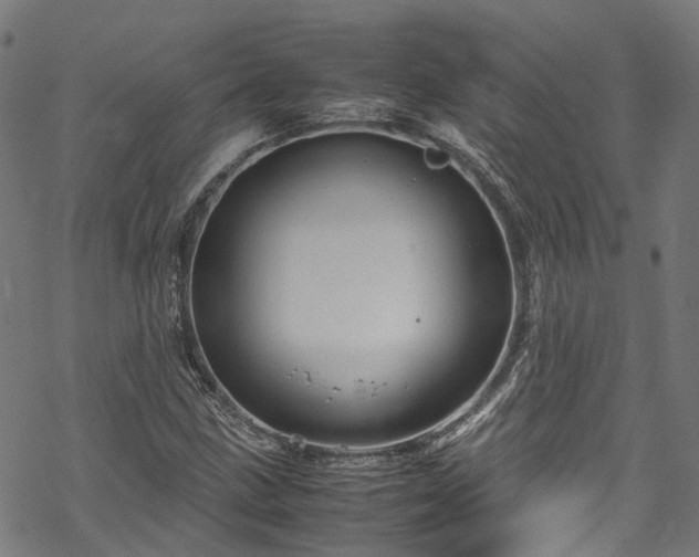 X0000070211211200605301354