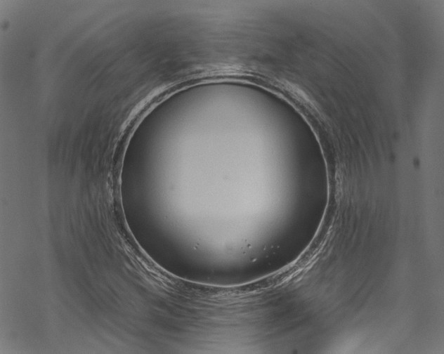 X0000070211212200605301354