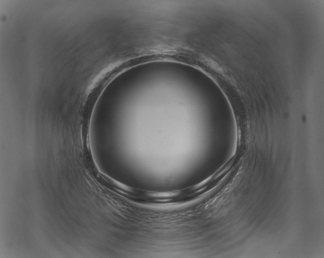 X0000070211214200605301354