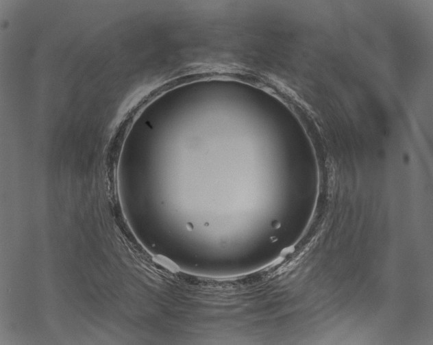 X0000070211215200605301354