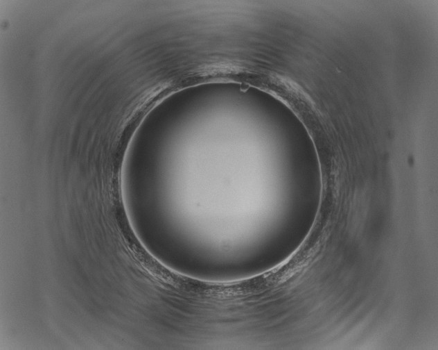 X0000070211217200605301354