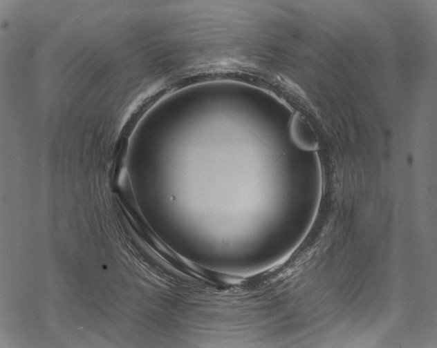 X0000070211218200605301354