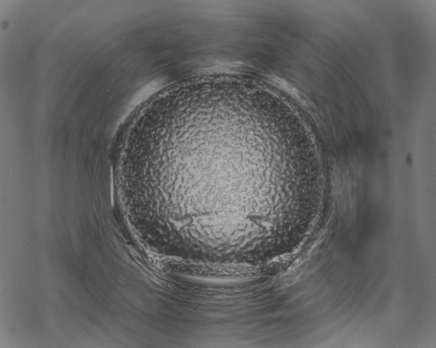 X0000070211219200605301354