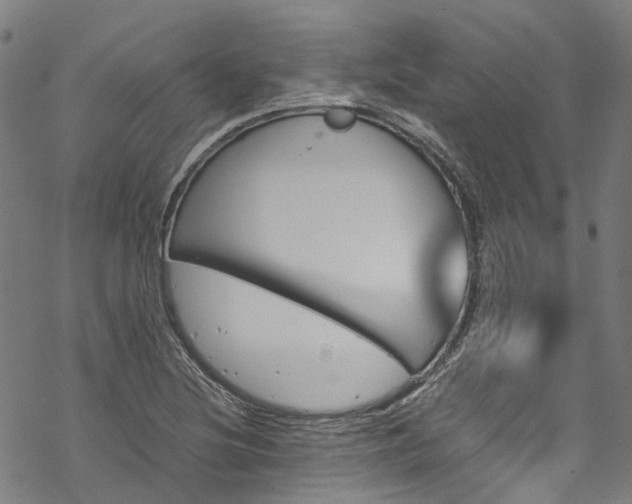 X0000070211220200605301354