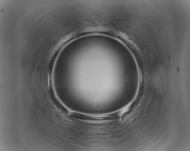 X0000070211221200605301354