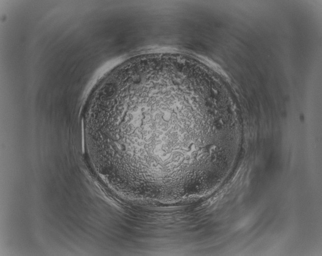 X0000070211223200605301354